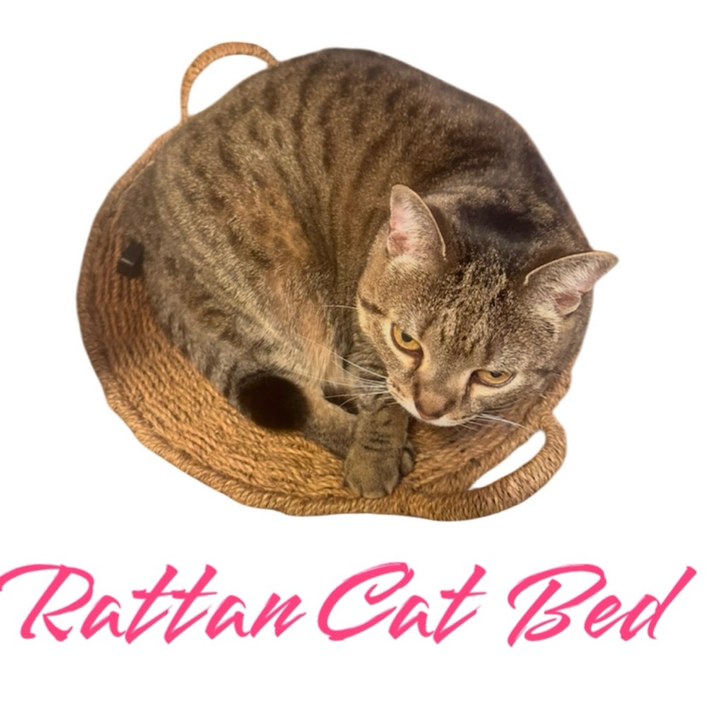SALE!! Cat bed Shallow rattan for cats or small dog. 4